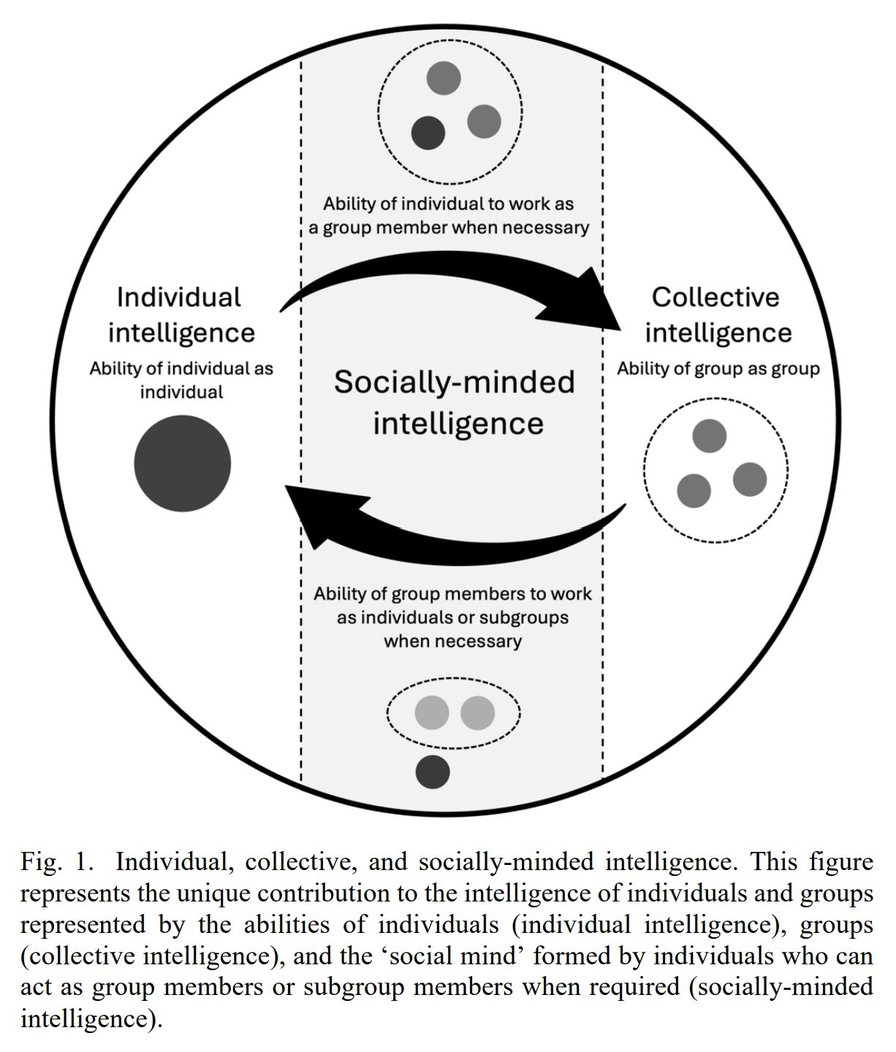 Socially-Minded Intelligence: How Individuals, Groups, and AI Systems Can Make Each-Other Smarter (or Not)