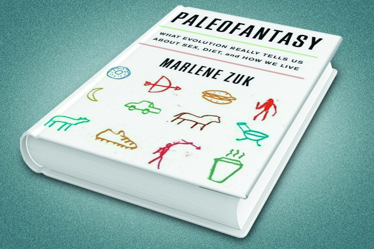 "Palaeofantasy": Stone Age delusions