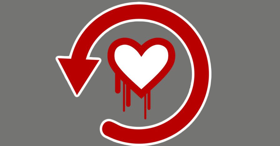 The Heartbleed Hit List: The Passwords You Need to Change Right Now