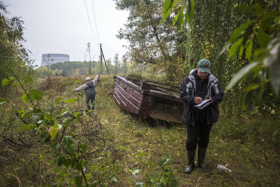 Life and death in Chernobyl’s ghost forest