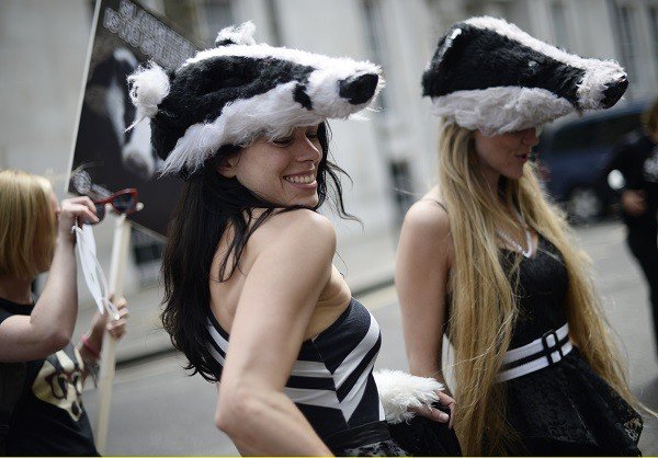 Far-Right Extremists Chased Through London by Women Dressed as Badgers