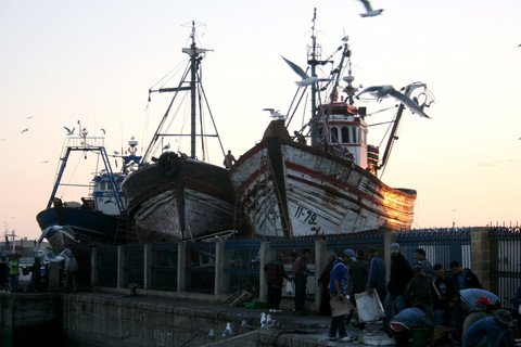 EUobserver / EU-Morroco fish deal a 'failure' for all concerned
