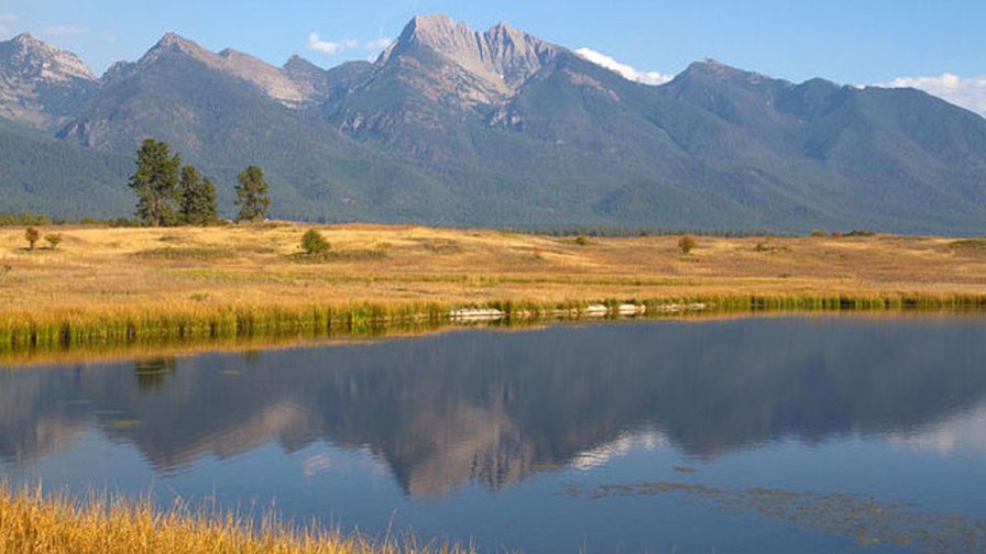 Archaeologists Tracked Lewis and Clark by Following Their Trail of Laxatives