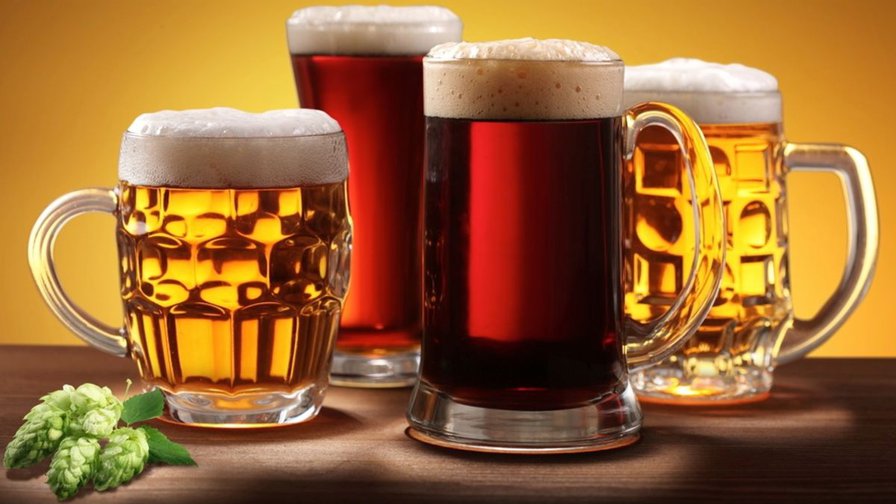 Could you drink beer instead of water and still survive?