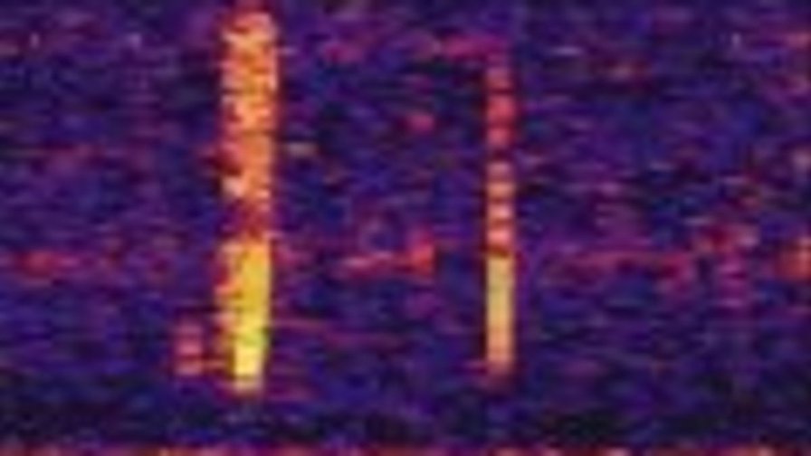 Remember that scary undersea "bloop" noise? At last we know what caused it.