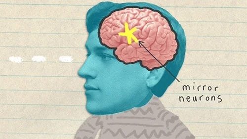 How Understanding Mirror Neurons Can Make Us Better Writers