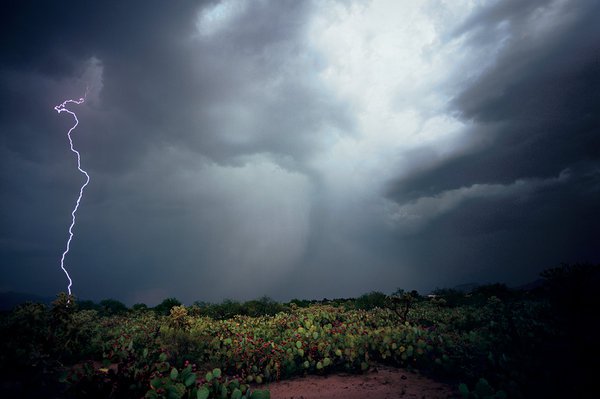 The Weatherman Is Not a Moron