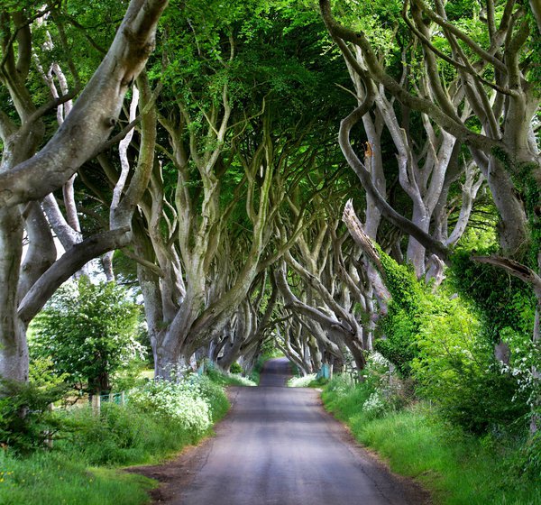 Following ‘Game of Thrones’ to Belfast and Beyond