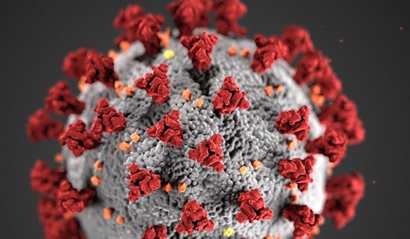 Seven early lessons from the coronavirus | European Council on Foreign Relations