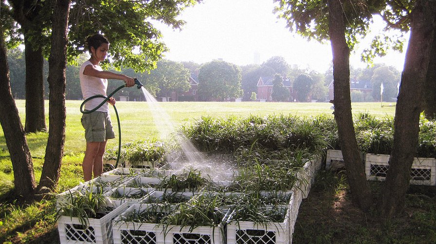The Science Of Why Scarcity Makes Us More Creative