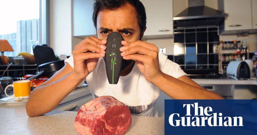 Kitchen gadgets review: Food Sniffer – ‘It smells fishy to me’
