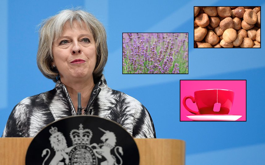 Theresa May wants to ban pleasure