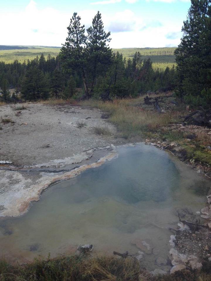 Scientists discover new microbes that thrive deep in the earth
