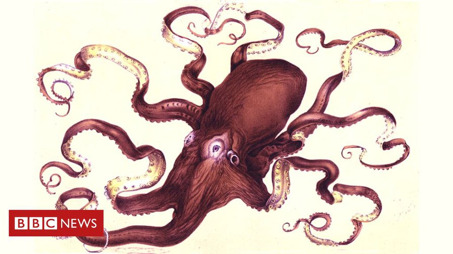 The Octopus That Ruled London