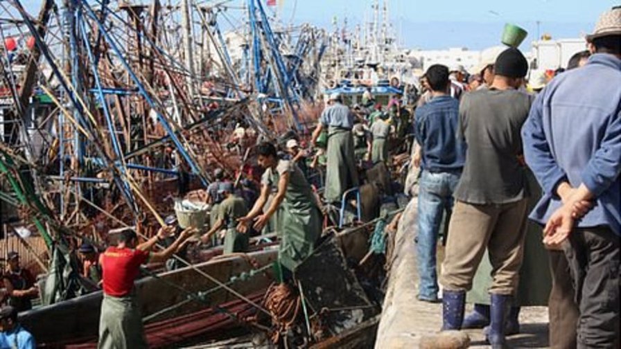 BBC News - Morocco's fish fight: High stakes over Western Sahara