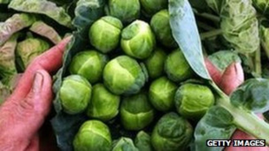 Brussels sprouts 'overdose' hospitalised man