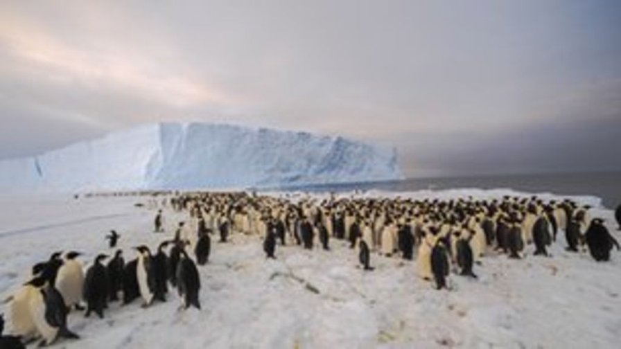 Northern Ireland surrenders powers over Antarctica