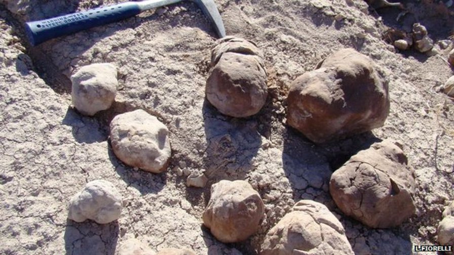 BBC: Giant prehistoric toilet unearthed