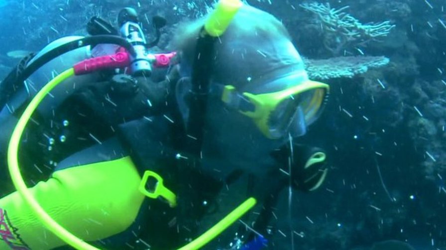 How climate change will acidify the oceans