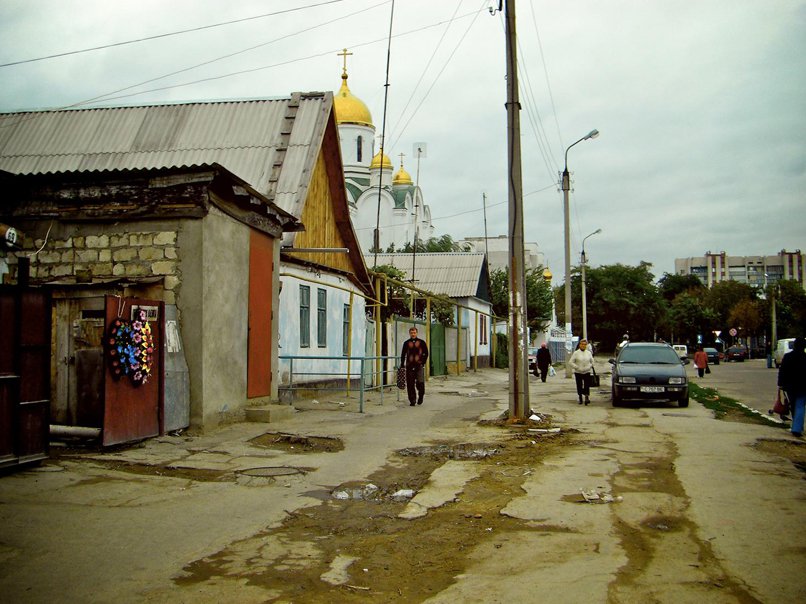 Life in the Grey Zones