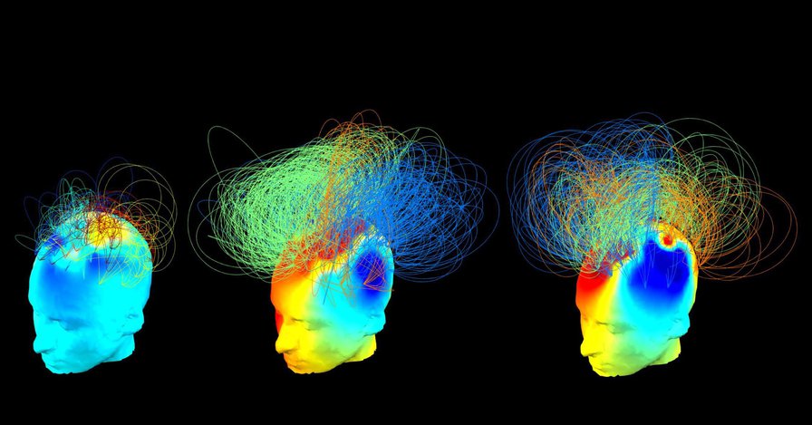 Best Science Visualizations of the Year