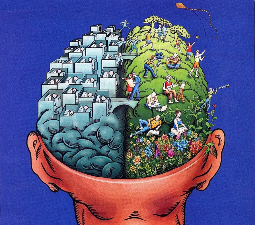 10 Surprising Facts About How Our Brains Work