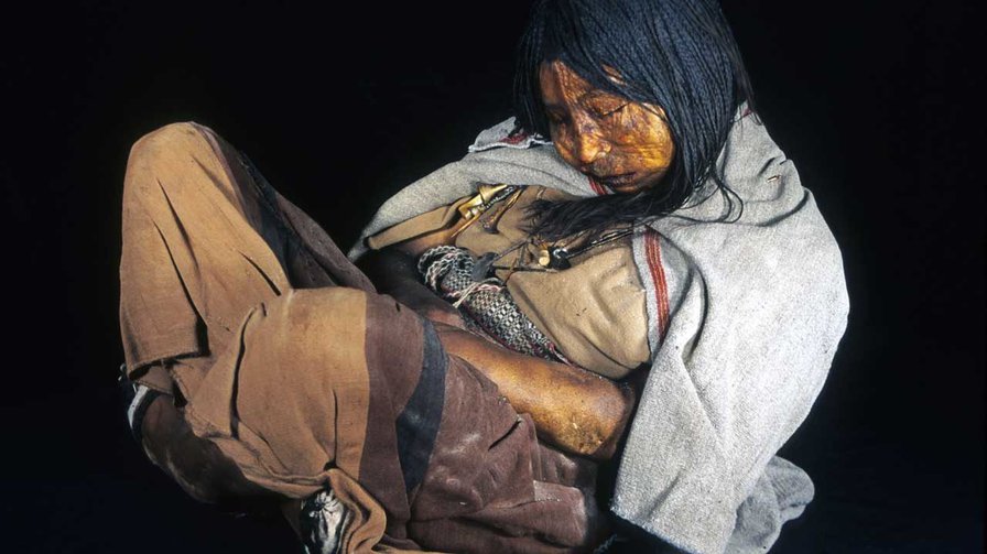 Mummy genomes reveal just how catastrophic European contact was for New World