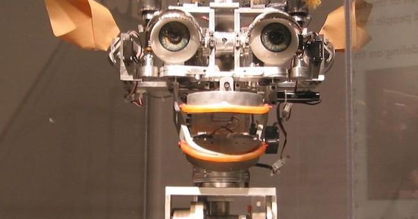 Machine Learning Needs A Human-In-The-Loop
