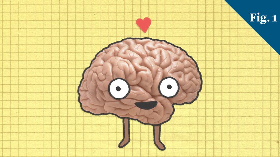 Lo-Fi Video on neuroscience research