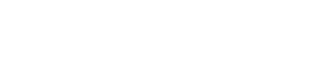 Special Report of the High Representative