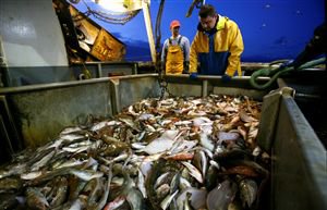 Morocco fishing deal ‘poor value for money' | European Voice