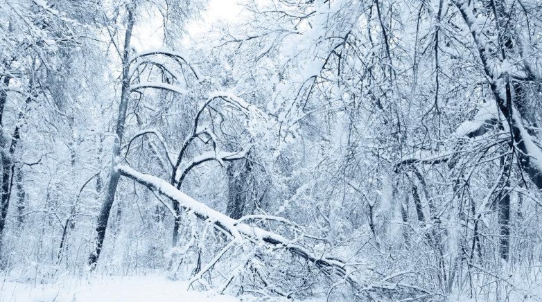 Digital publishers face a winter of discontent - Digiday