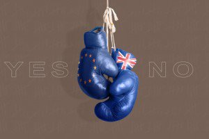 Brexit - Would the UK fetch better trade agreements if it left the EU? | BorderlexBorderlex