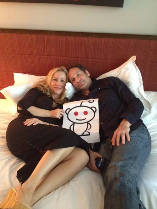 How To Host A Reddit AMA