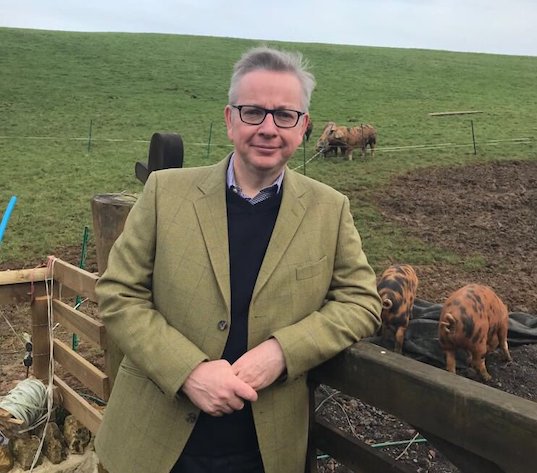 Michael Gove – the case against